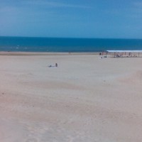 IMG_8255-11-07-17-02-10.JPG