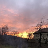 IMG_0387.JPG