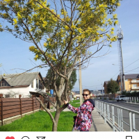 Вот и я, наконец-то, ждун :) Screenshot_2018-03-04-23-18-47-438_com.instagram.android.png