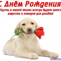 Победить себя 1479263225.jpg