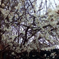 IMG_20180326_135156.jpg