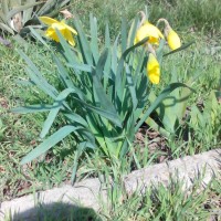 IMG_20180325_110656.jpg