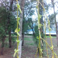 IMG_20180324_111449.jpg