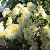 IMG_6869.JPG
