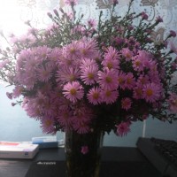 Один в поле воин или как не боятся своих желаний P81004-091830.jpg