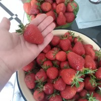 IMG_20190524_132446.jpg