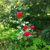 изображение_viber_2019-05-27_12-50-27.jpg