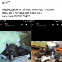 Screenshot_20191218-094902.png