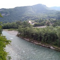 IMG_20200724_092921.jpg