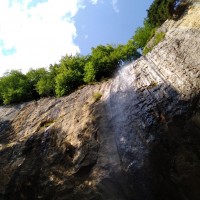 IMG_20200724_082917.jpg