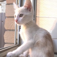 IMG_20201010_094824.jpg