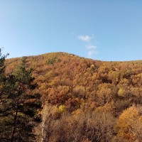 IMG_20201108_095616.jpg