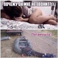 i.jpg