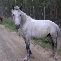 20160708_184613.jpg