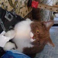 20181122_130801.jpg