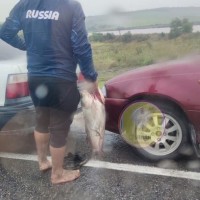 рыбалка.jpg