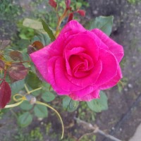 20221001_091825.jpg