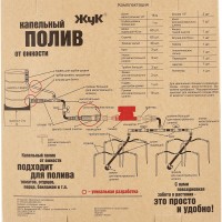 Жук.jpg