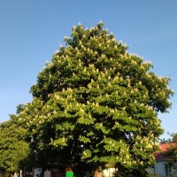 IMG_20230426_184636.jpg