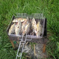 DSCN9060.JPG