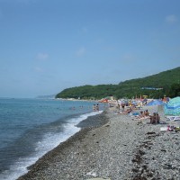 криница.jpg