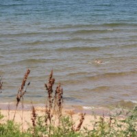 IMG_9154.jpg