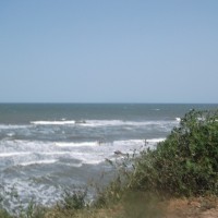 DSCF7538.JPG