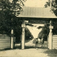 Екатеринодар.Городская роща имени Г.С.Чистякова.1917 год..jpg