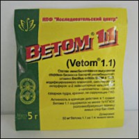 d-vetom.jpg