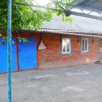 P1090170.jpg