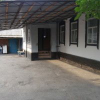 P1090184.jpg