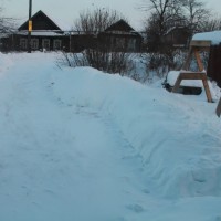 IMG_5519.JPG