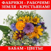 7nov.jpg