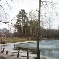 CAM02146.jpg