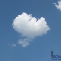 Почему я хочу переехать на юг DSCF5950.JPG