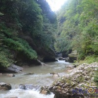 DSC_0170.JPG