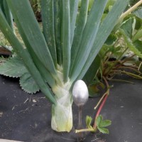 20160615155714.jpg