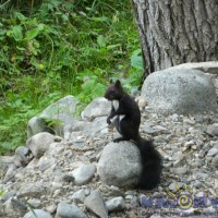 DSCN6570.JPG