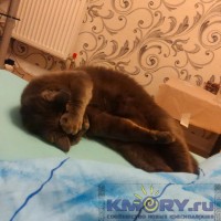 IMG-20161223-WA0016.jpg