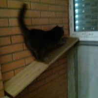 IMG_20161221_230455.jpg