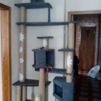IMG_20160820_154509.jpg