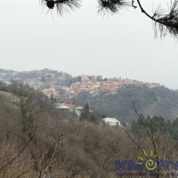 IMG_1032.JPG